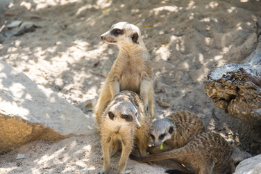 Similar image 22597505