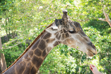 Similar image 22597506