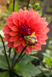 Similar image 22595274