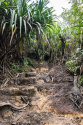 Similar image 22597513