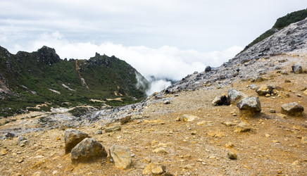 Similar image 22597583