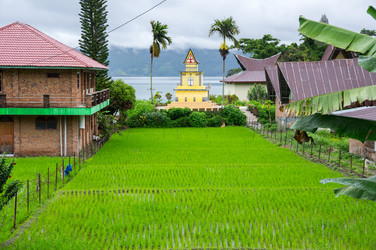 Similar image 22597584