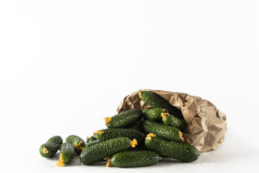 Similar image 22611875