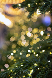 Similar image 22611876