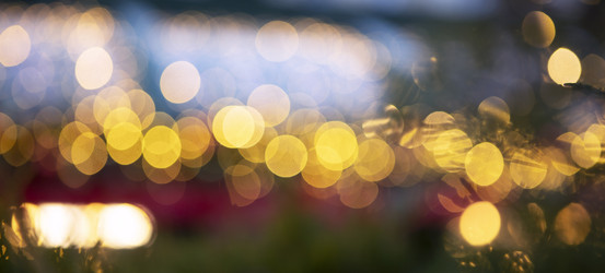 Similar image 22611877