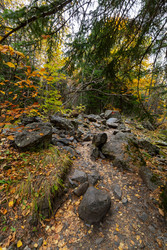 Similar image 22597591