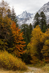 Similar image 22597594