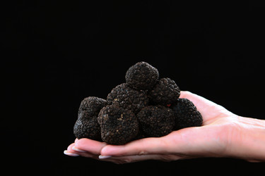 Similar image 22611878