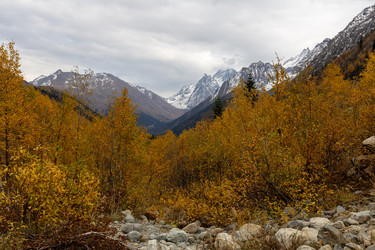 Similar image 22597597