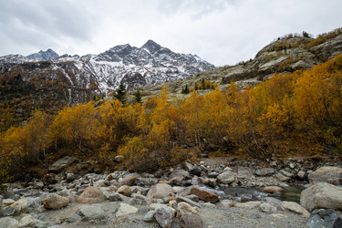 Similar image 22597600