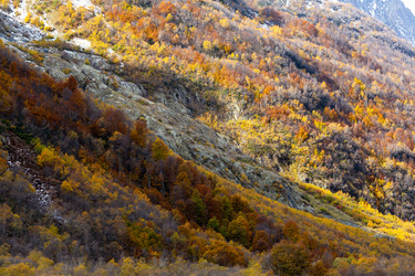 Similar image 22597602