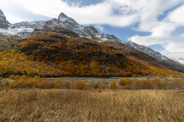 Similar image 22597603