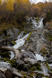 Similar image 22597355