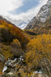 Similar image 22597356