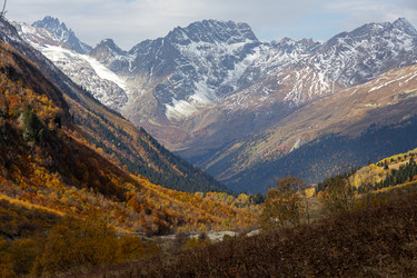 Similar image 22597358