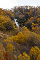 Similar image 22597359