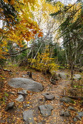 Similar image 22597369