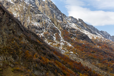 Similar image 22597372