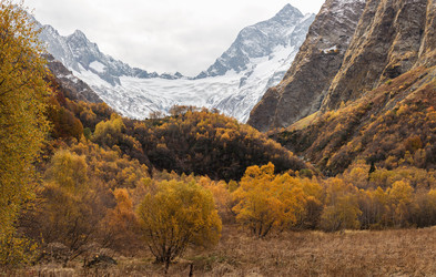 Similar image 22597374