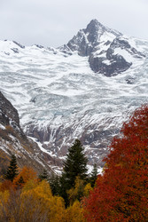 Similar image 22597376