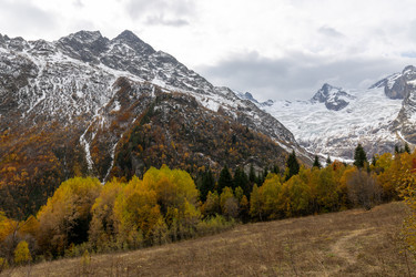 Similar image 22597385