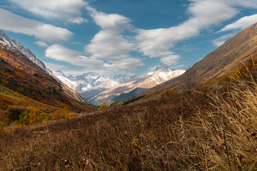 Similar image 22597388