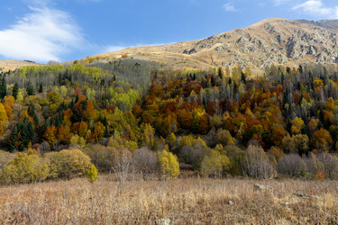 Similar image 22597402