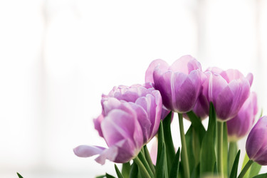 Similar image 22628064