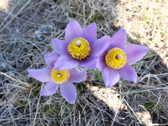 Similar image 22599703