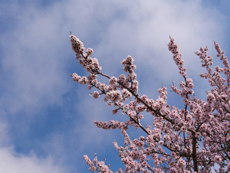 Similar image 22599706