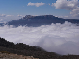 Similar image 22599707