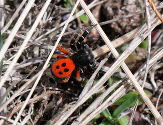 Similar image 22599708