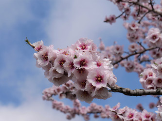 Similar image 22599709