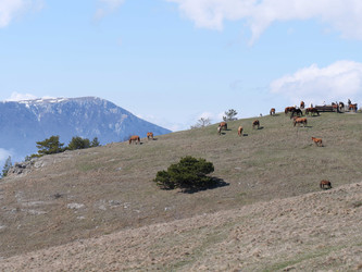 Similar image 22599711