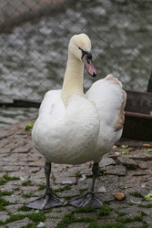 Similar image 22639569