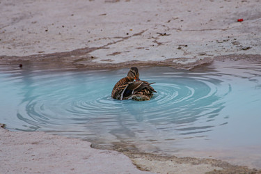 Similar image 22610687