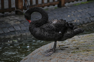 Similar image 22639571