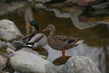 Similar image 22610688