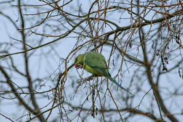 Similar image 22639572