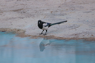 Similar image 22610690