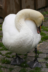 Similar image 22639576