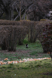 Similar image 22639584
