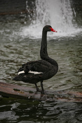 Similar image 22610691