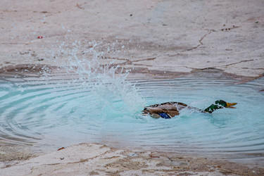 Similar image 22610692