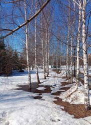 Similar image 22596872