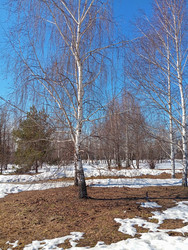 Similar image 22596874