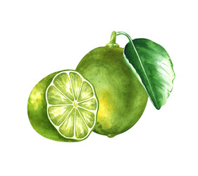 Similar image 22600107