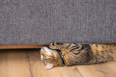 Similar image 22607573