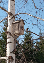 Similar image 22596875