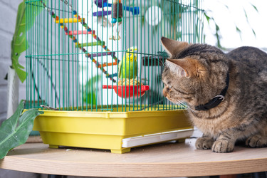 Similar image 22607809